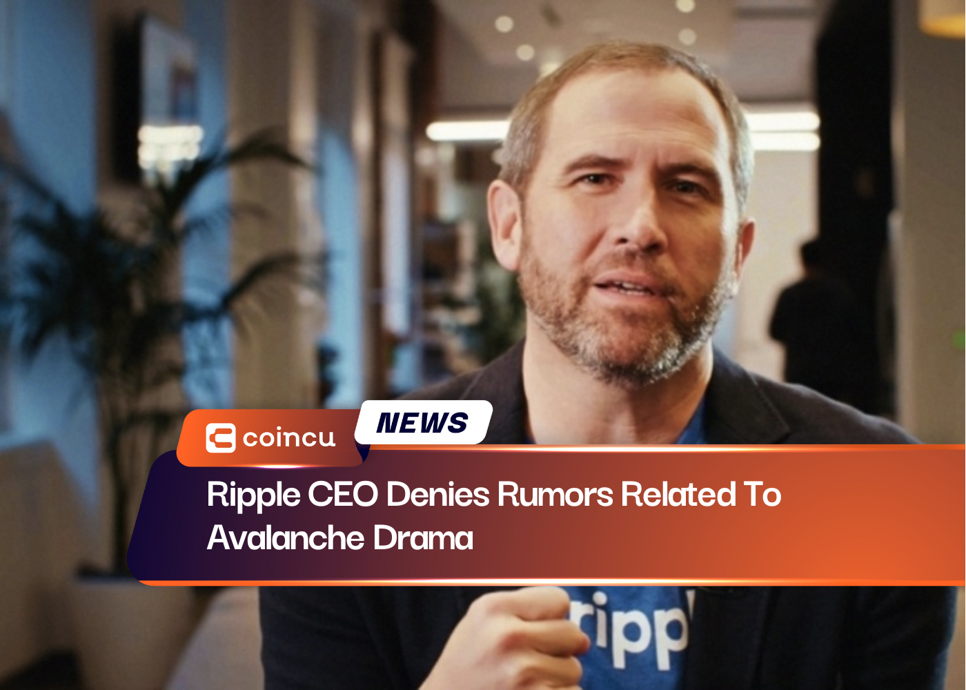 Ripple CEO Denies Rumors Related To Avalanche Drama