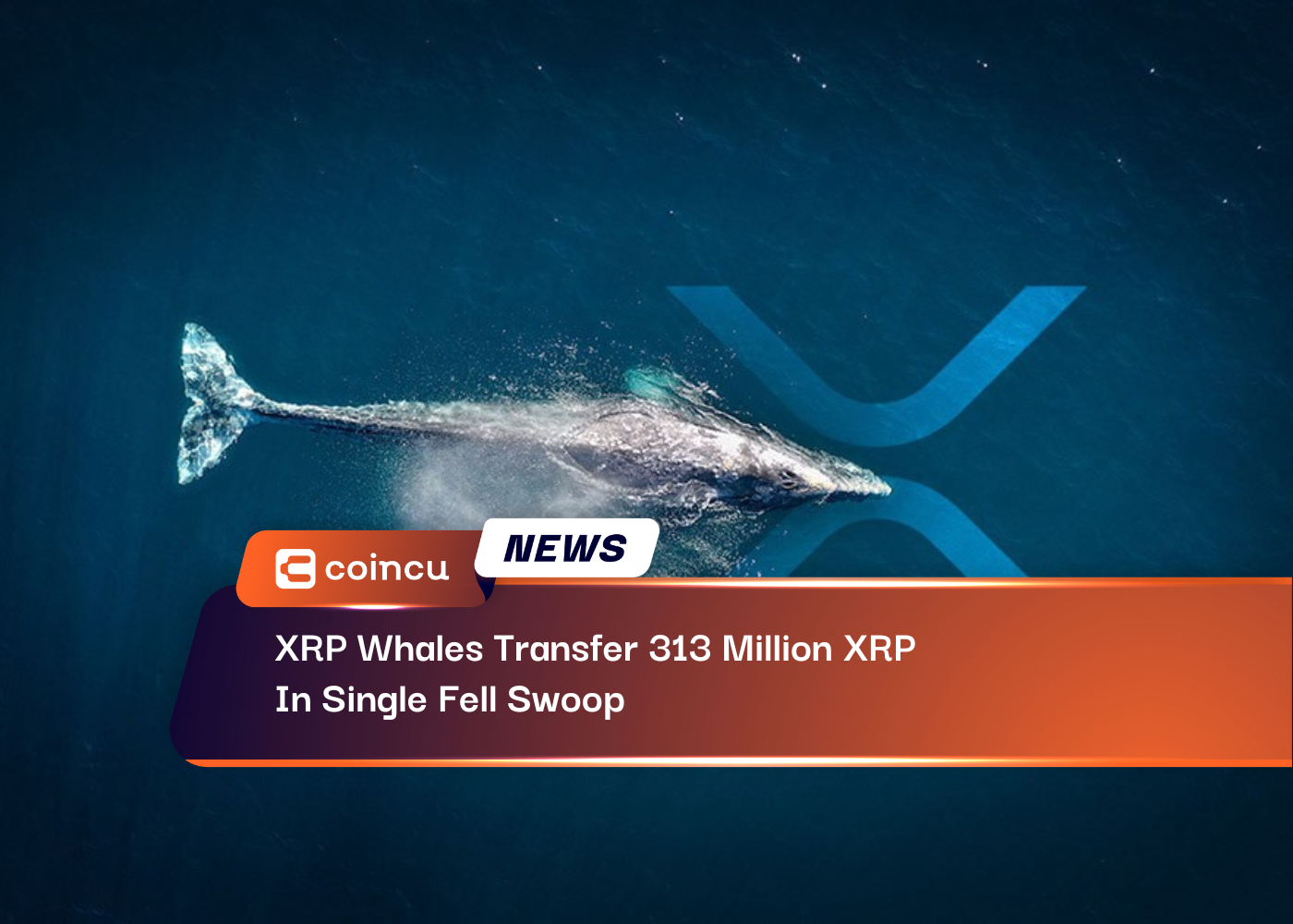 XRP Whales Transfer 313 Million XRP