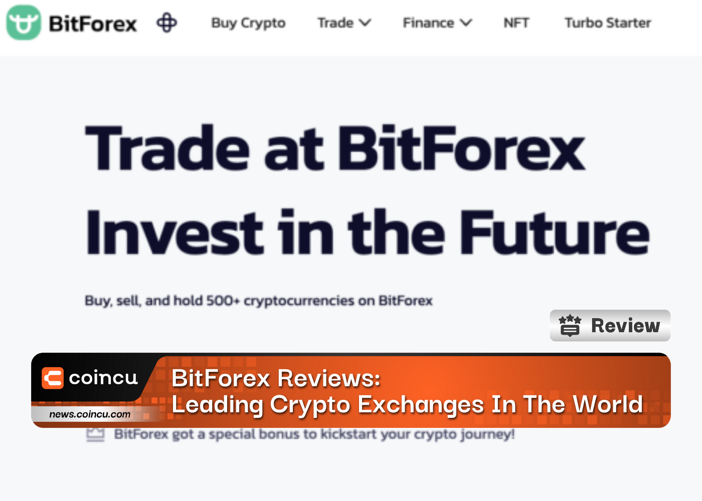 BitForex Reviews