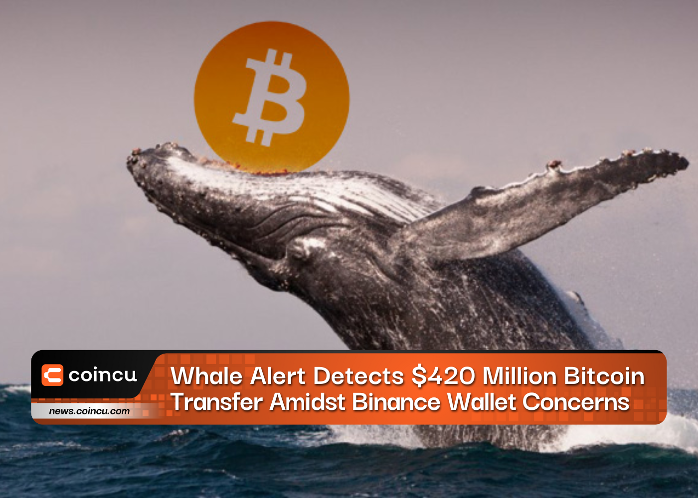 Whale Alert Detects 420 Million Bitcoin